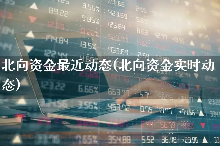 北向资金最近动态(北向资金实时动态)_https://www.haiwangdasha.com_上交所_第1张