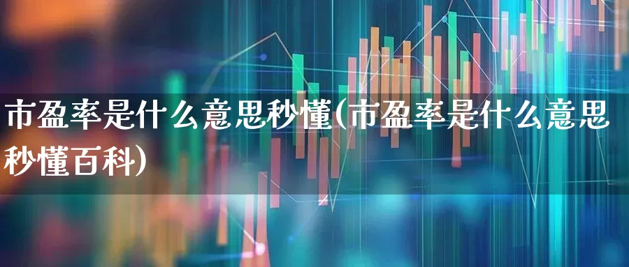 市盈率是什么意思秒懂(市盈率是什么意思秒懂百科)_https://www.haiwangdasha.com_科创板_第1张