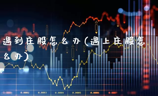 遇到庄股怎么办(遇上庄股怎么办)_https://www.haiwangdasha.com_上交所_第1张