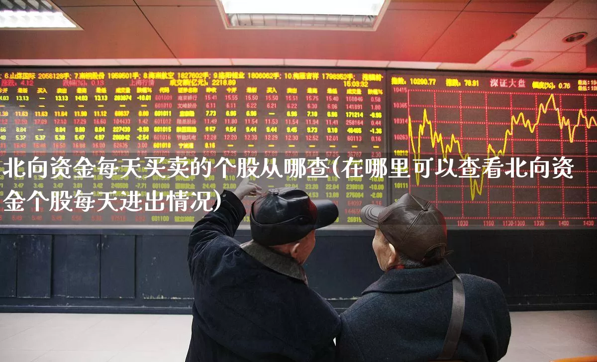 北向资金每天买卖的个股从哪查(在哪里可以查看北向资金个股每天进出情况)_https://www.haiwangdasha.com_科创板_第1张