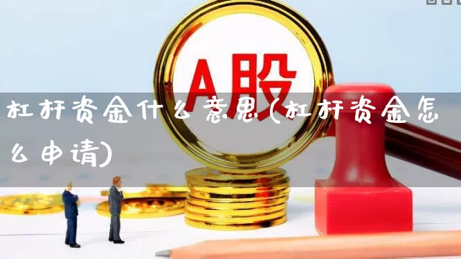 杠杆资金什么意思(杠杆资金怎么申请)_https://www.haiwangdasha.com_深交所_第1张