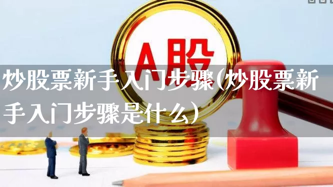 炒股票新手入门步骤(炒股票新手入门步骤是什么)_https://www.haiwangdasha.com_深交所_第1张