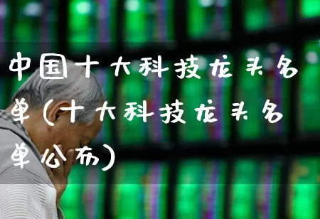 中国十大科技龙头名单(十大科技龙头名单公布)_https://www.haiwangdasha.com_北交所_第1张