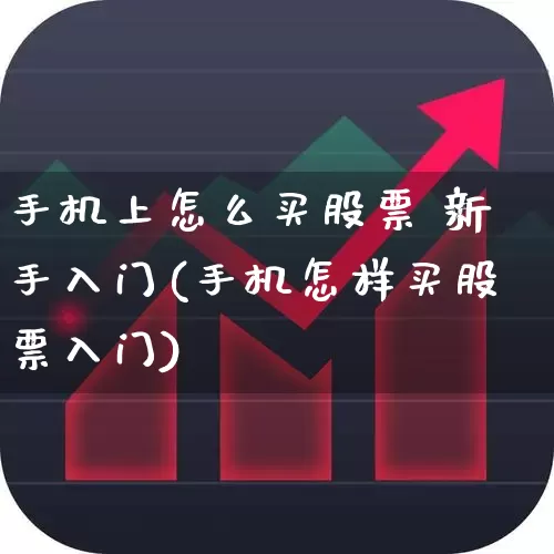 手机上怎么买股票 新手入门(手机怎样买股票入门)_https://www.haiwangdasha.com_北交所_第1张