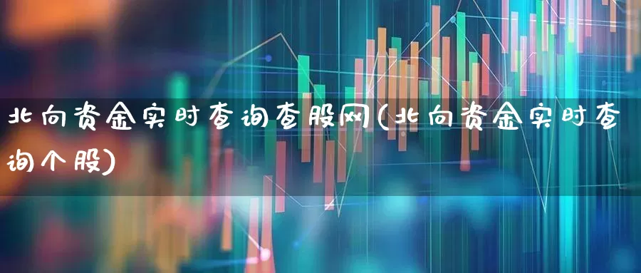 北向资金实时查询查股网(北向资金实时查询个股)_https://www.haiwangdasha.com_上交所_第1张