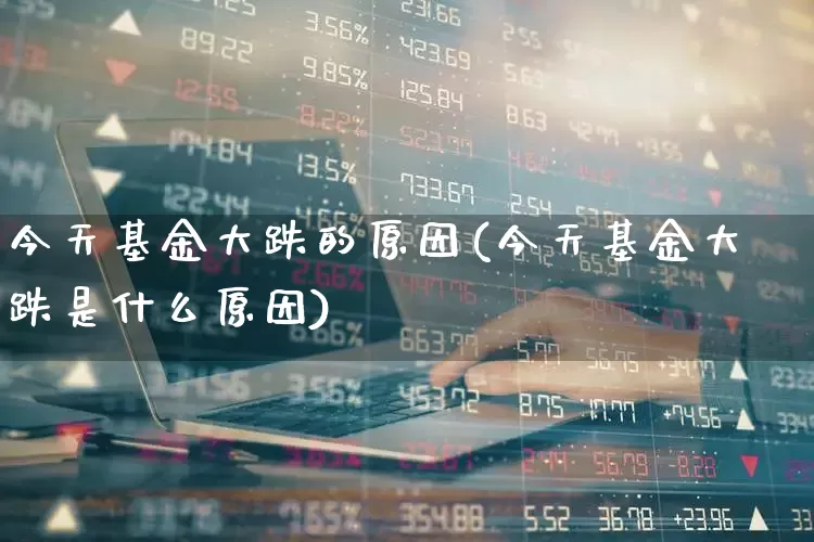 今天基金大跌的原因(今天基金大跌是什么原因)_https://www.haiwangdasha.com_深交所_第1张