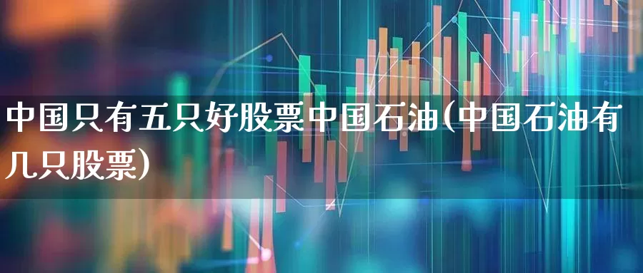 中国只有五只好股票中国石油(中国石油有几只股票)_https://www.haiwangdasha.com_科创板_第1张