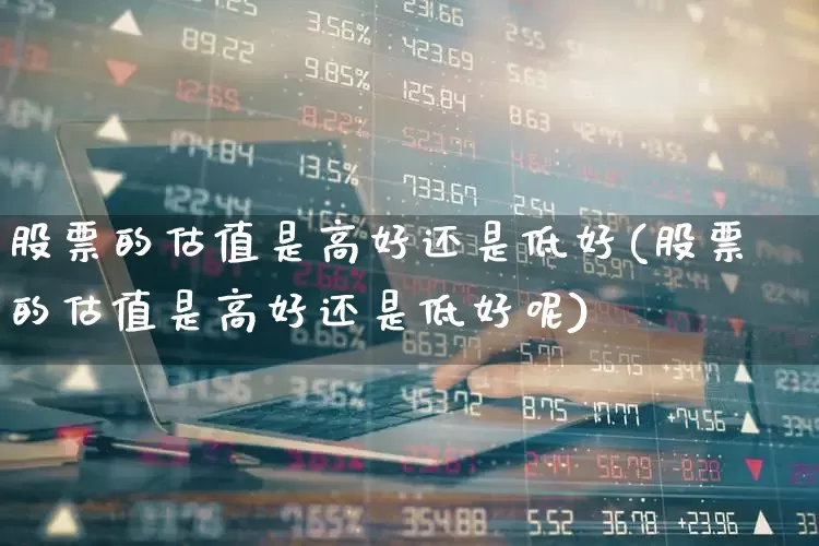 股票的估值是高好还是低好(股票的估值是高好还是低好呢)_https://www.haiwangdasha.com_北交所_第1张