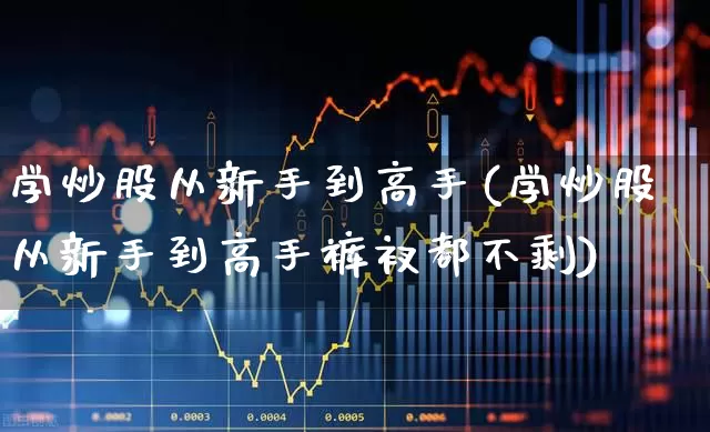 学炒股从新手到高手(学炒股从新手到高手裤衩都不剩)_https://www.haiwangdasha.com_创业板_第1张