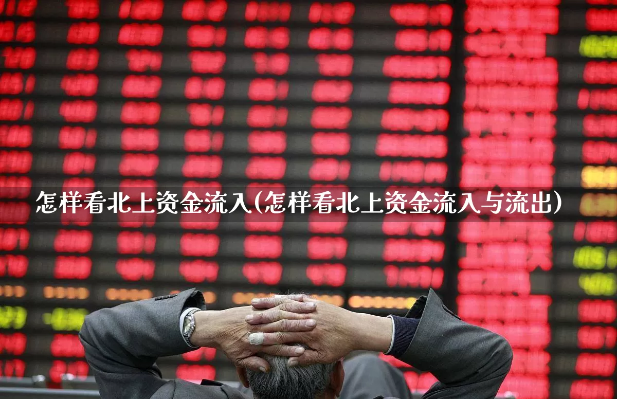 怎样看北上资金流入(怎样看北上资金流入与流出)_https://www.haiwangdasha.com_创业板_第1张