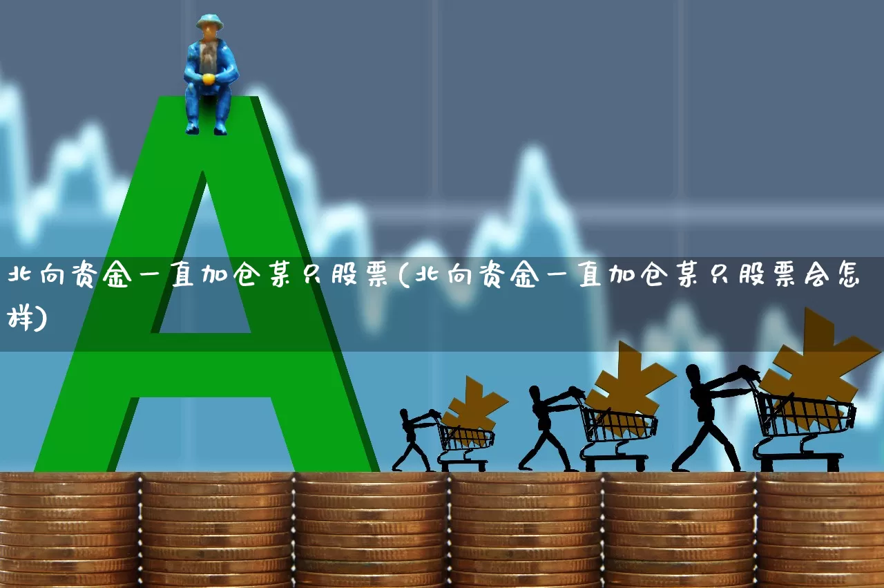 北向资金一直加仓某只股票(北向资金一直加仓某只股票会怎样)_https://www.haiwangdasha.com_创业板_第1张
