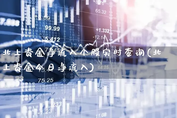 北上资金净流入个股实时查询(北上资金今日净流入)_https://www.haiwangdasha.com_深交所_第1张