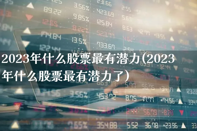 2023年什么股票最有潜力(2023年什么股票最有潜力了)_https://www.haiwangdasha.com_科创板_第1张