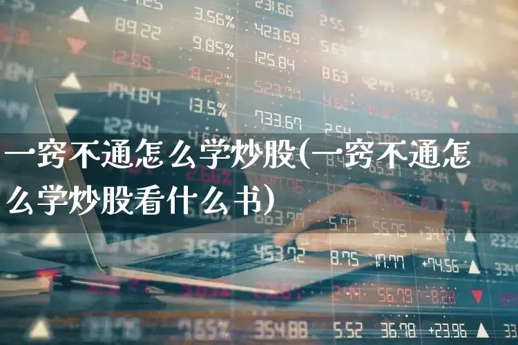 一窍不通怎么学炒股(一窍不通怎么学炒股看什么书)_https://www.haiwangdasha.com_郑商所_第1张