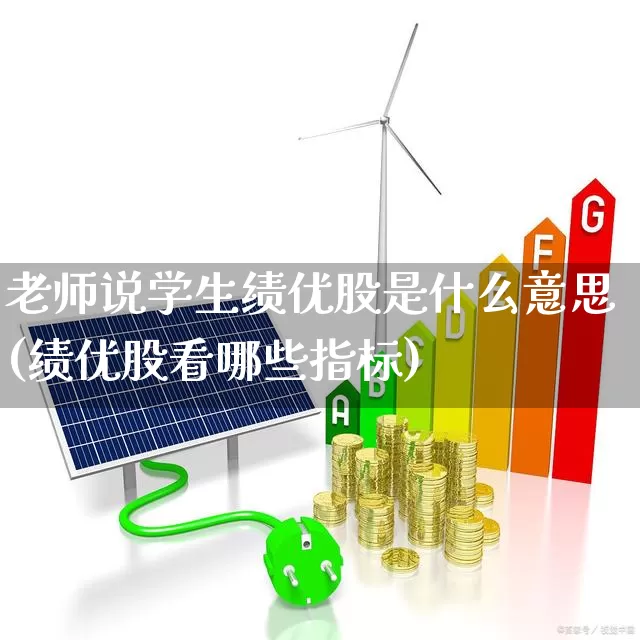 老师说学生绩优股是什么意思(绩优股看哪些指标)_https://www.haiwangdasha.com_深交所_第1张