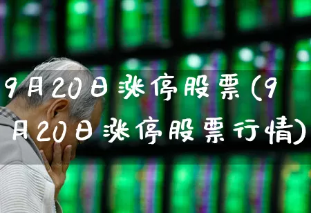 9月20日涨停股票(9月20日涨停股票行情)_https://www.haiwangdasha.com_上交所_第1张