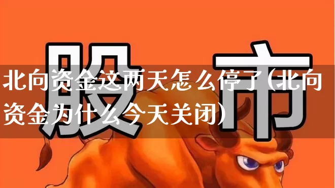 北向资金这两天怎么停了(北向资金为什么今天关闭)_https://www.haiwangdasha.com_创业板_第1张