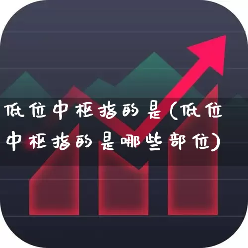 低位中枢指的是(低位中枢指的是哪些部位)_https://www.haiwangdasha.com_创业板_第1张