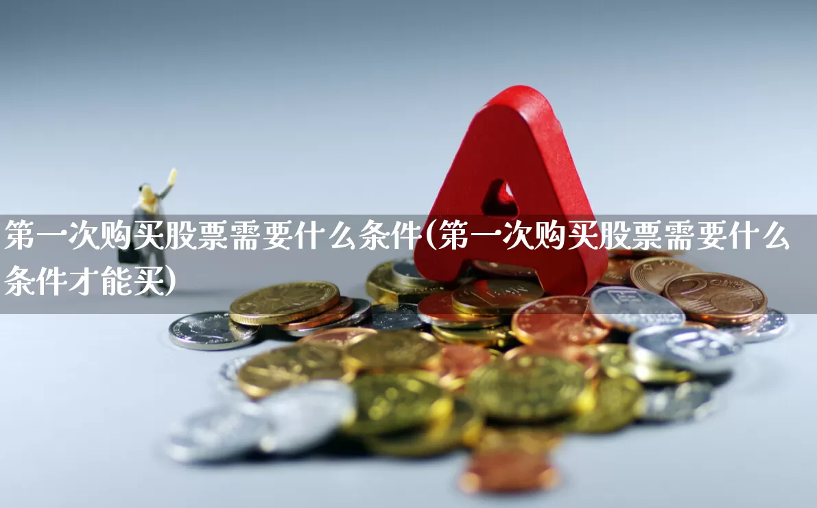 第一次购买股票需要什么条件(第一次购买股票需要什么条件才能买)_https://www.haiwangdasha.com_深交所_第1张