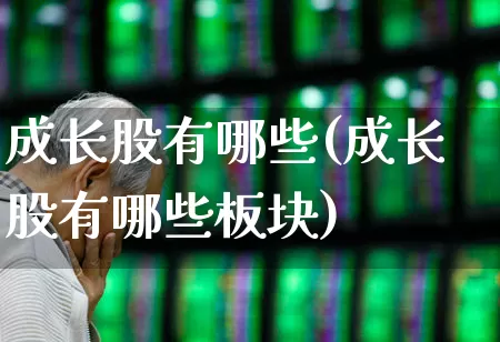 成长股有哪些(成长股有哪些板块)_https://www.haiwangdasha.com_深交所_第1张
