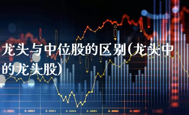 龙头与中位股的区别(龙头中的龙头股)_https://www.haiwangdasha.com_上交所_第1张