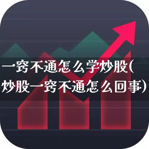 一窍不通怎么学炒股(炒股一窍不通怎么回事)_https://www.haiwangdasha.com_北交所_第1张