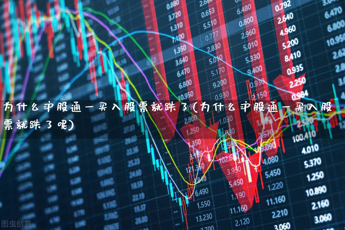 为什么沪股通一买入股票就跌了(为什么沪股通一买入股票就跌了呢)_https://www.haiwangdasha.com_深交所_第1张