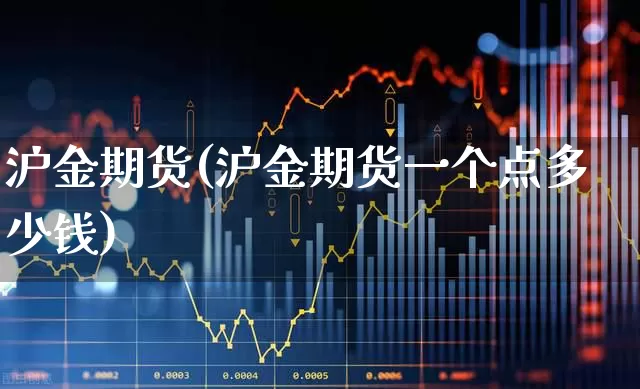沪金期货(沪金期货一个点多少钱)_https://www.haiwangdasha.com_上期能源_第1张
