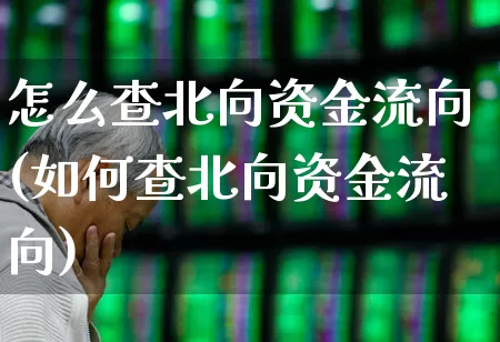 怎么查北向资金流向(如何查北向资金流向)_https://www.haiwangdasha.com_科创板_第1张
